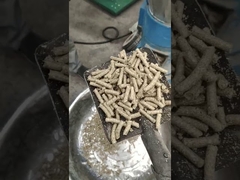 Pelletizadora de Serragem para Biomassa Plana 800kg/H 1000kg/H